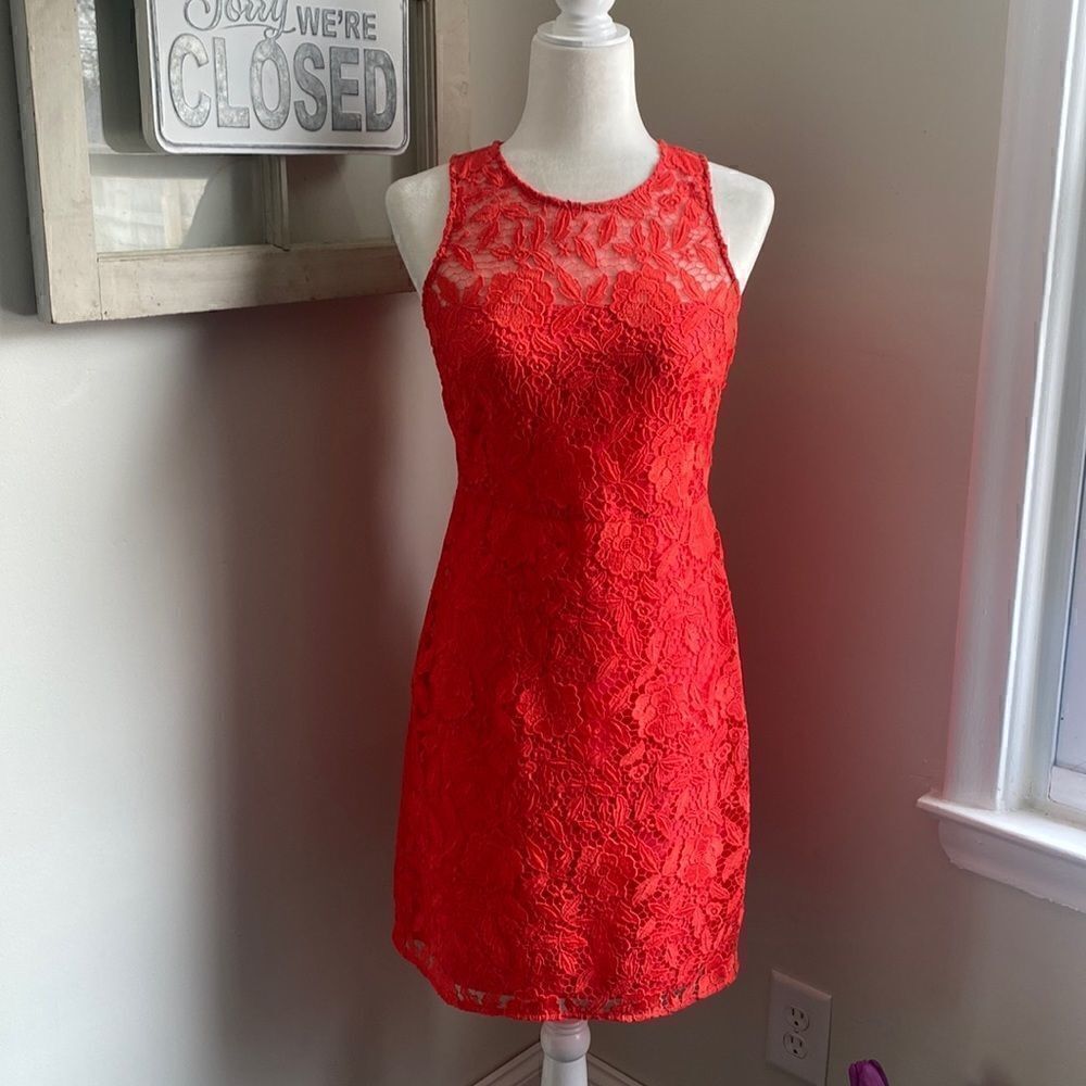 𝅺J Crew Collection Poppy Leaves Venetian Lace Sheath Pamela Dress Red Floral